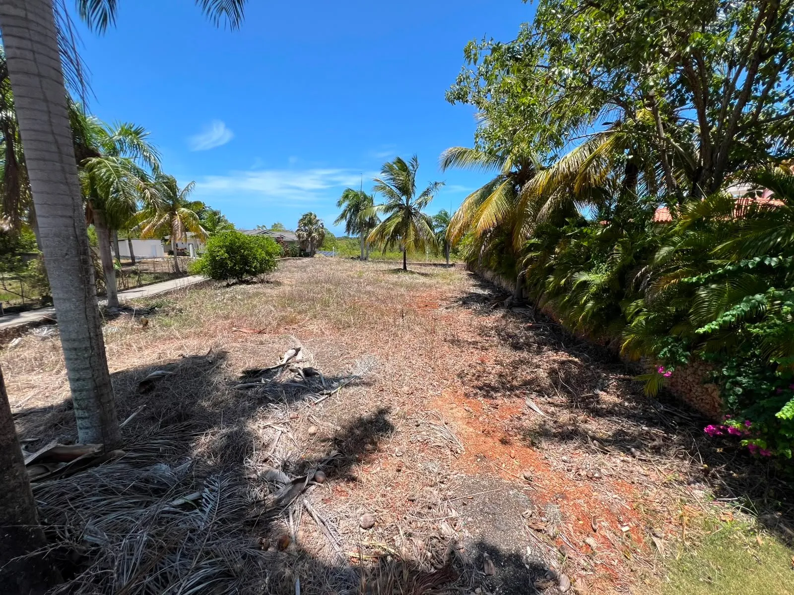 Land for sale Lomas Mironas, photo 9