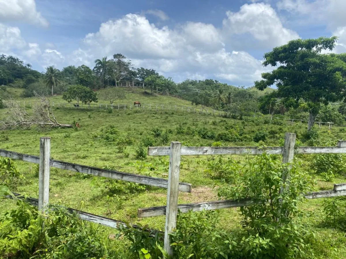 Terrain à Samaná Las Terrenas, Los Puentes, photo 3
