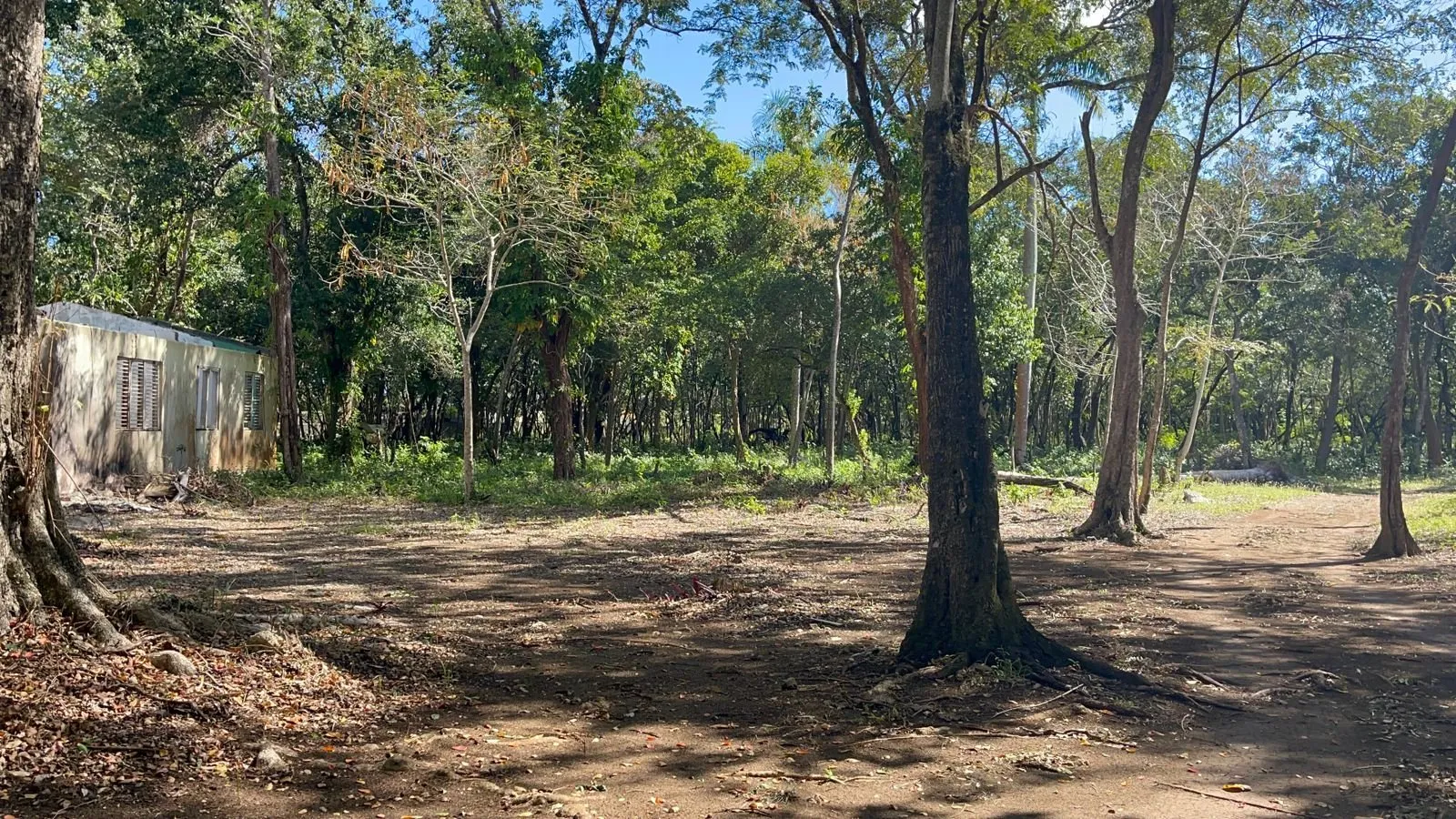 MARAVILLOSO TERRENO FRENTE AL MAR, foto 4