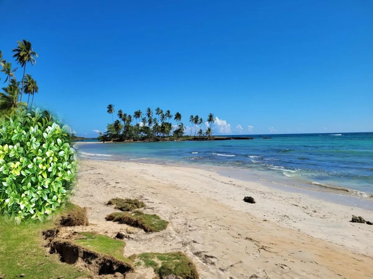 Land in Nagua, Proyecto Nueva Nagua, photo 4