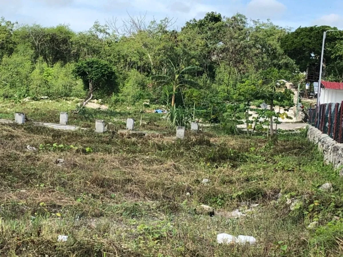 Grundstück in Punta Cana, Bávaro, 4501 m², Foto 3