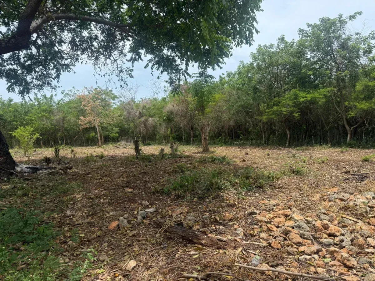 Terreno amplio en venta en Juan Dolio, foto 8