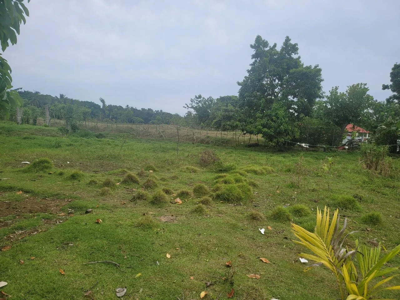 OFERTA – TERRENO EN CABARETE DISPONIBLE, foto 2