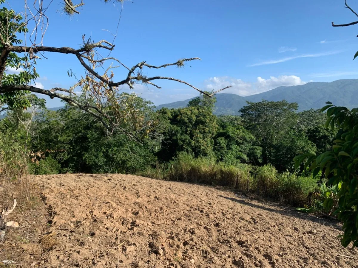 Terreno in vendita a Buena Vista,, foto 12