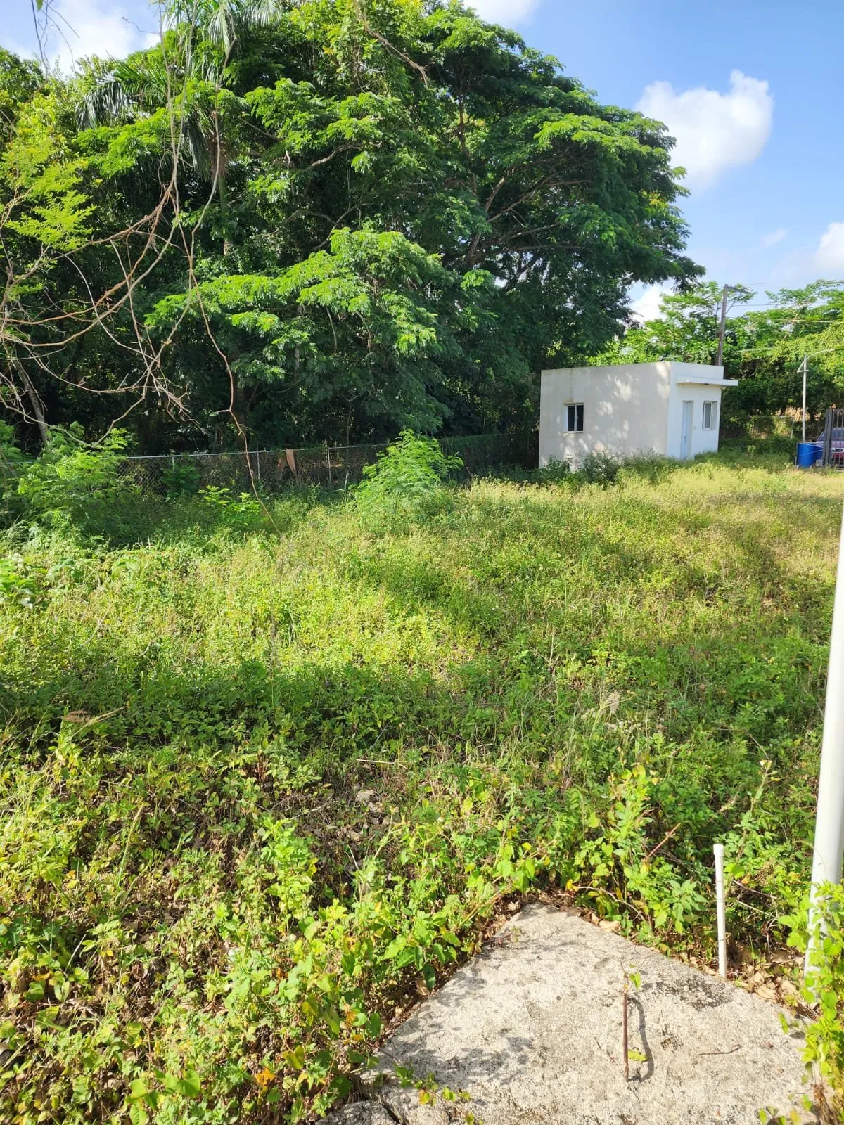 Lot for sale in La Mulata, photo 3