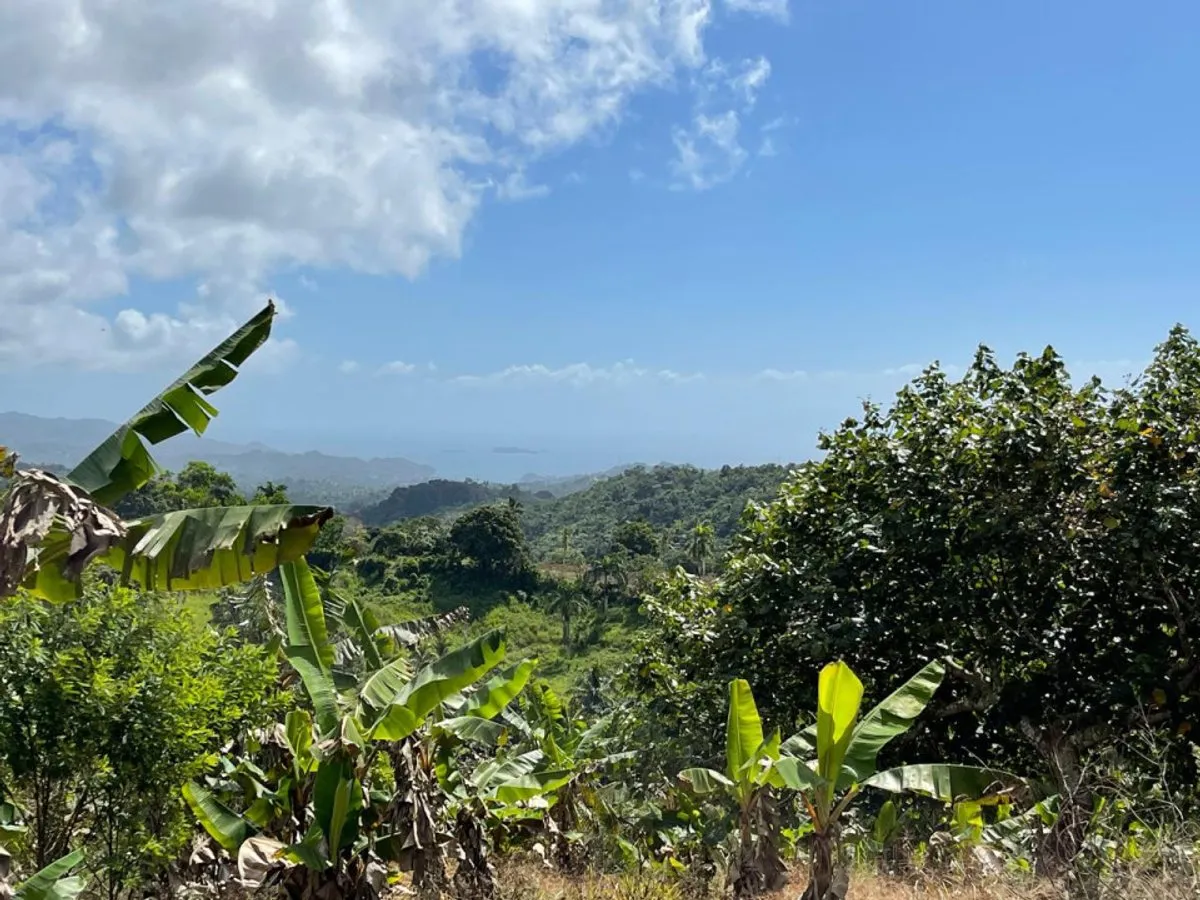 Terreno en Samaná, Juana Vicenta, foto 3
