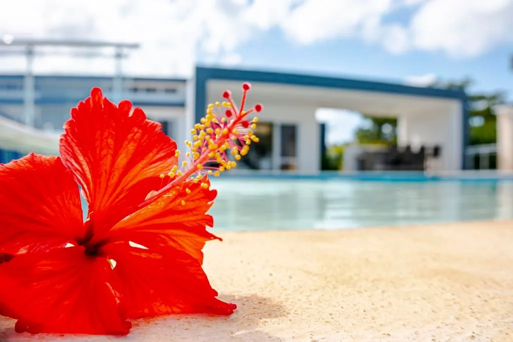 Villa Tropical entre Sosúa y Cabarete – Espacios Abiertos, Privacidad y Estilo Caribeño., foto 10