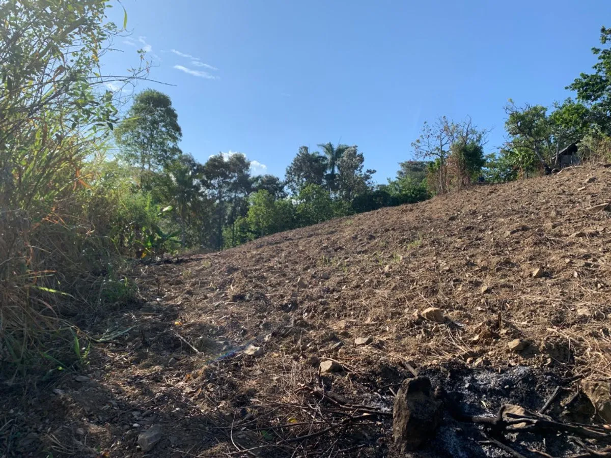 Terreno in vendita a Buena Vista,, foto 11