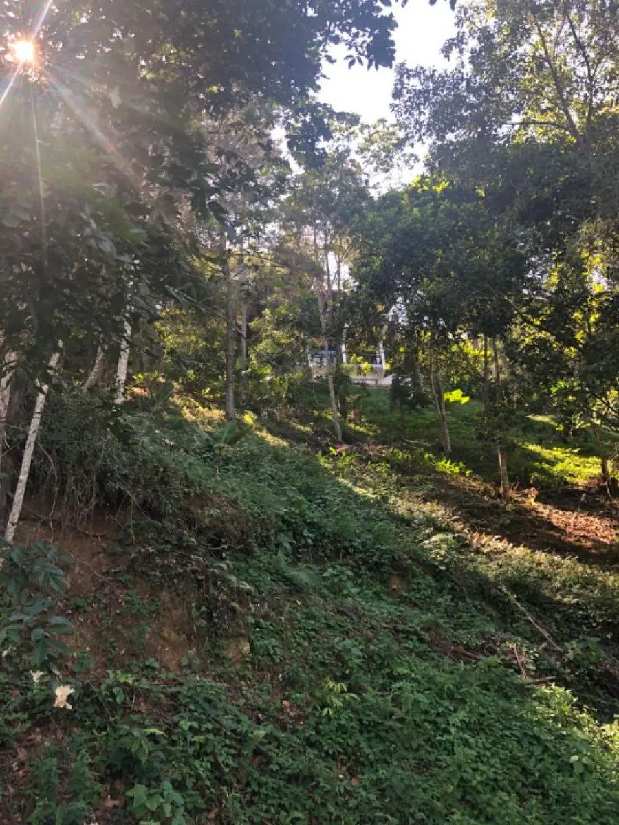 Venta de Solar en Quintas del Bosque Jarabacoa, foto 5