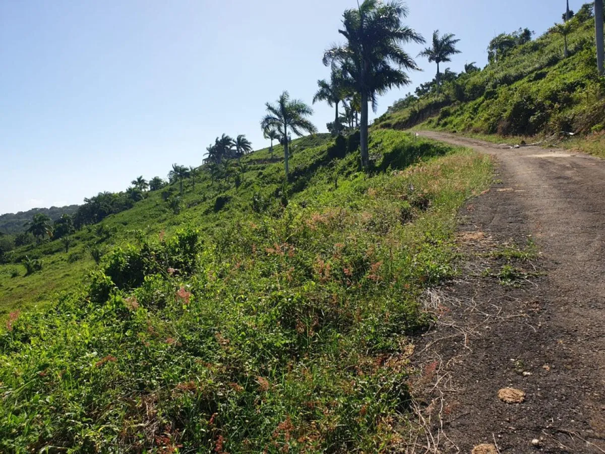 Terreno en Loma de Cabrera, Los Candelones, foto 11