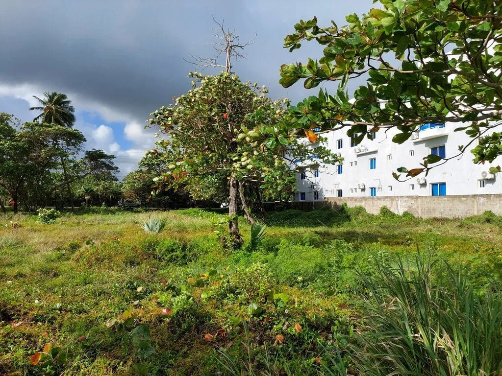 TERRAZZA IN ZONA ESCLUSIVA FRONTE MARE – CABARETE, foto 14