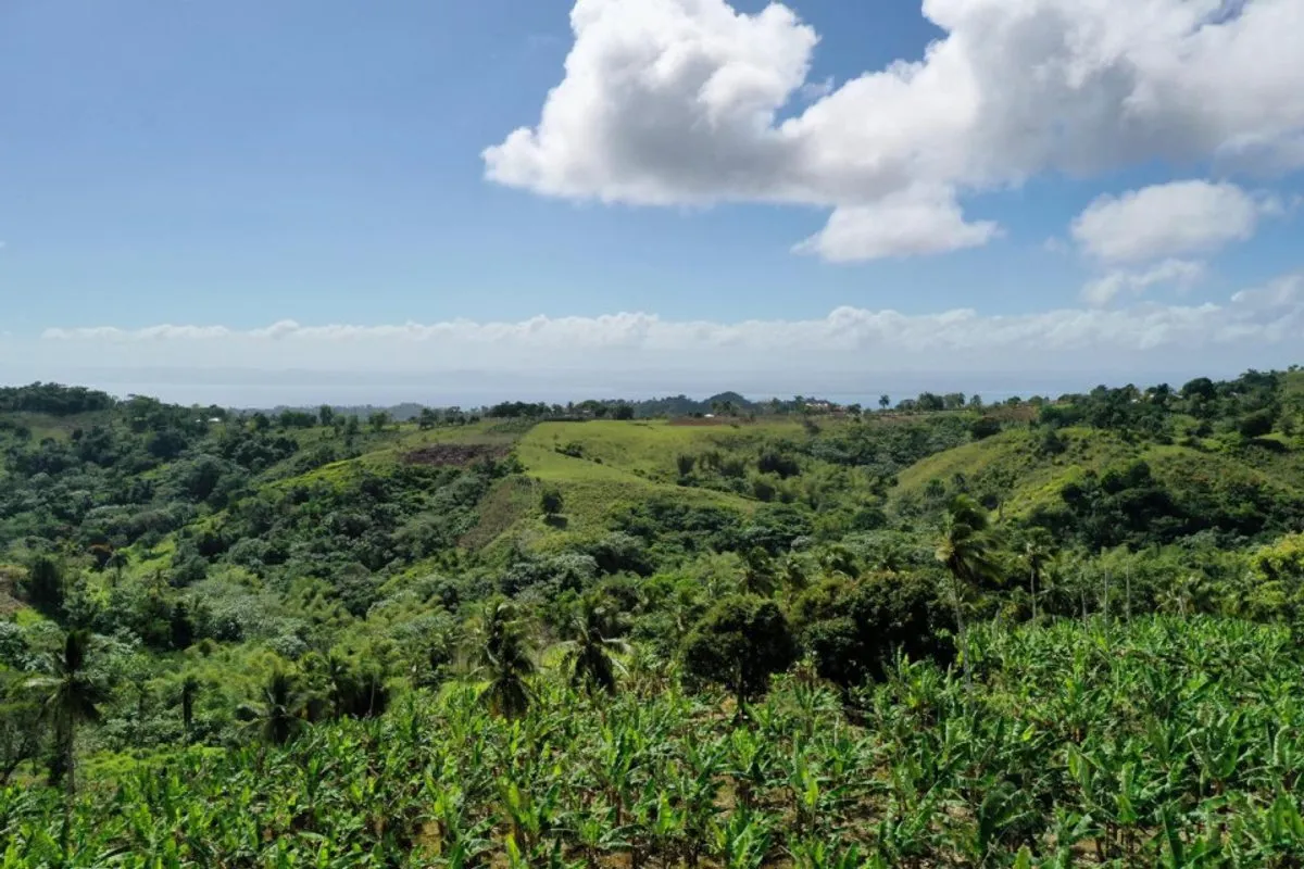 Terreno en Samaná, Juana Vicenta, foto principal