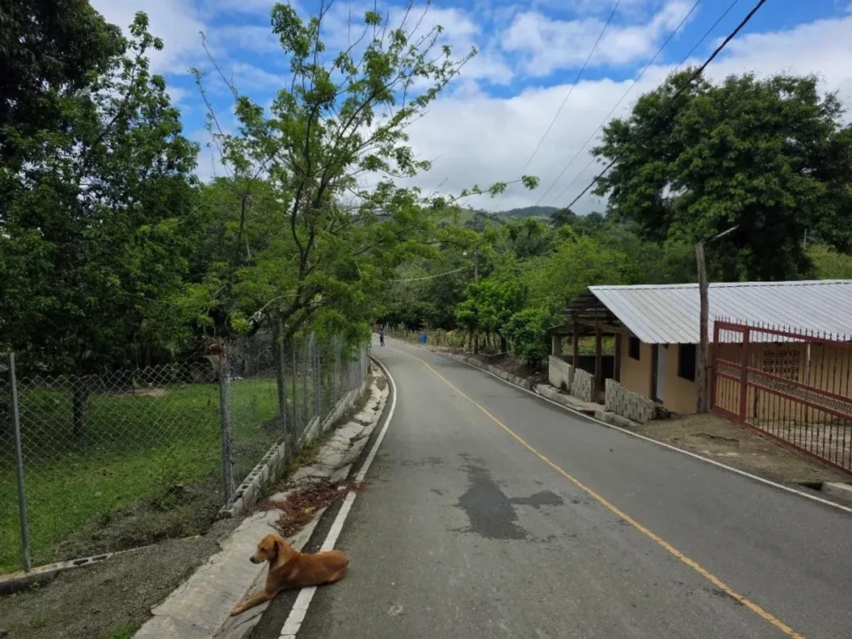 Casa de Montaña en Jarabacoa, foto 10