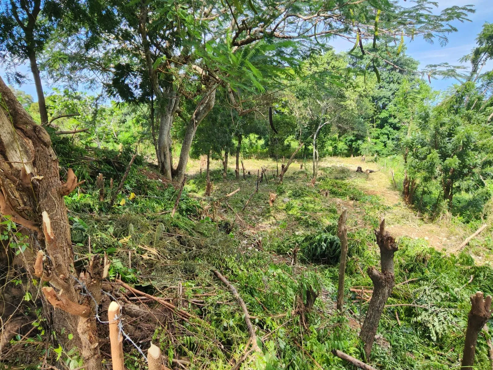 Corazón de Sosúa: Terreno en Venta en el Centro, foto 4