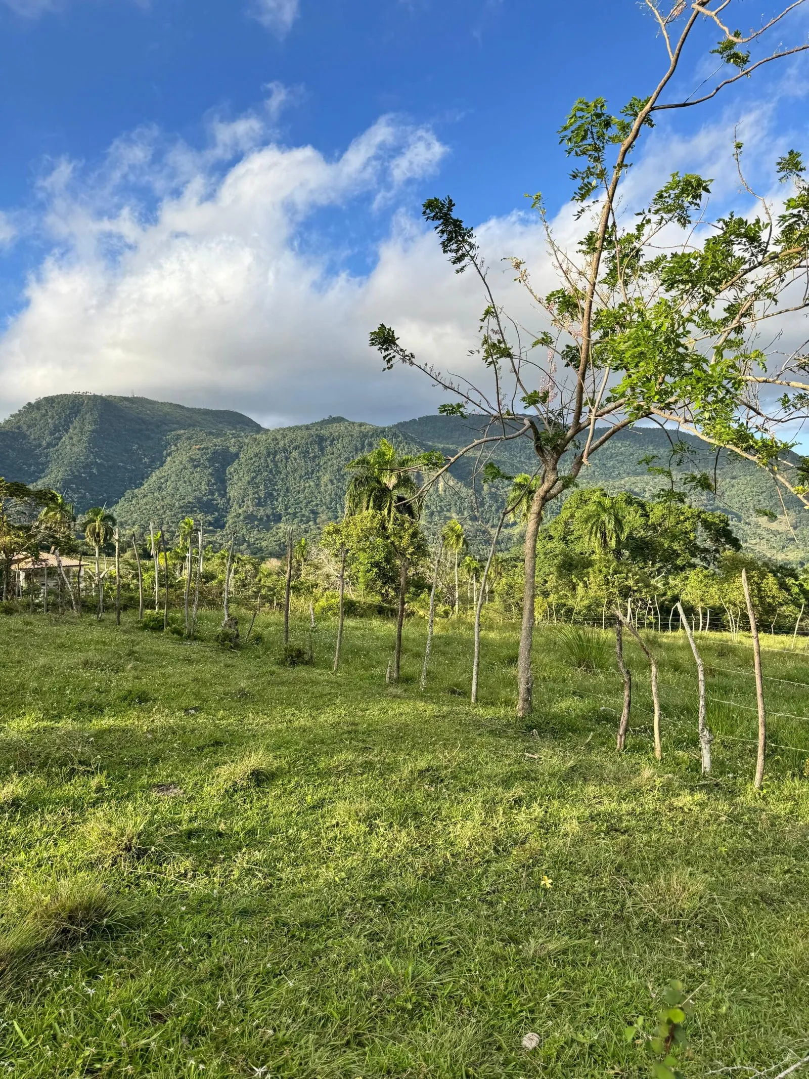 Grundstück in El Cupey, Puerto Plata – Panoramablick auf das Meer und die Berge, Foto 2