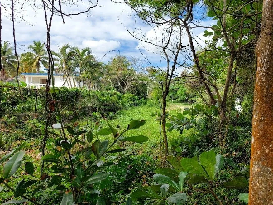 NUOVA OFFERTA – TERRENO FRONTE MARE – CABARETE, foto 6