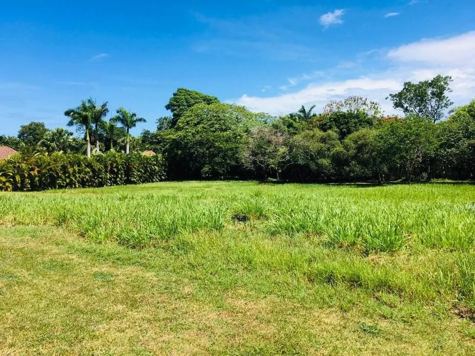 Tu Futuro Hogar de Lujo en la Costa Norte – Terreno Residencial Disponible., foto principal