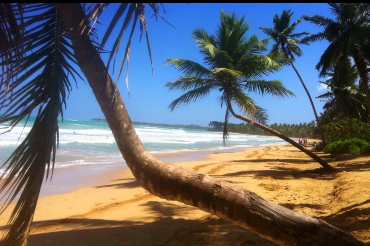 Apartment in Las Terrenas, El Portillo, photo 7