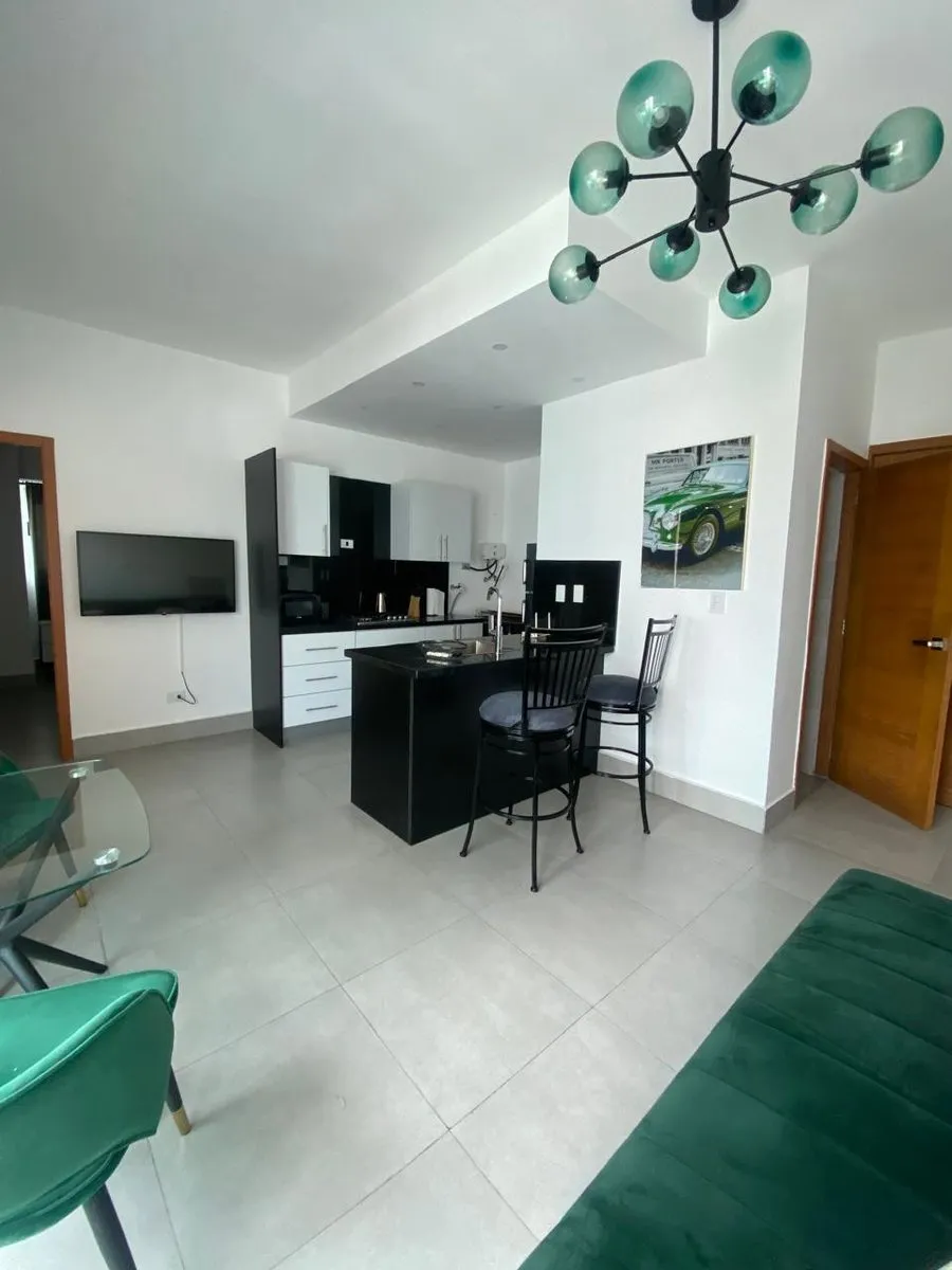 Appartement Meublé à Piantini, photo 2