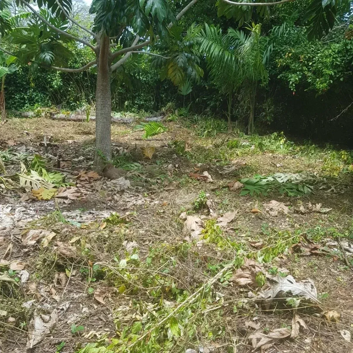 Land in Cabrera, El Bretón, 3800 m², main photo