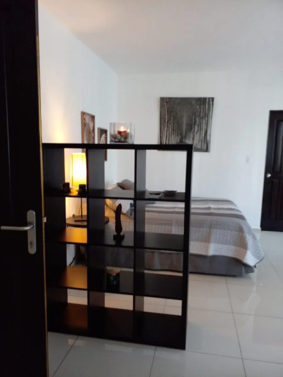 APPARTEMENT EN VENTE 1 CHAMBRE PIANTINI SANTO D, photo 3