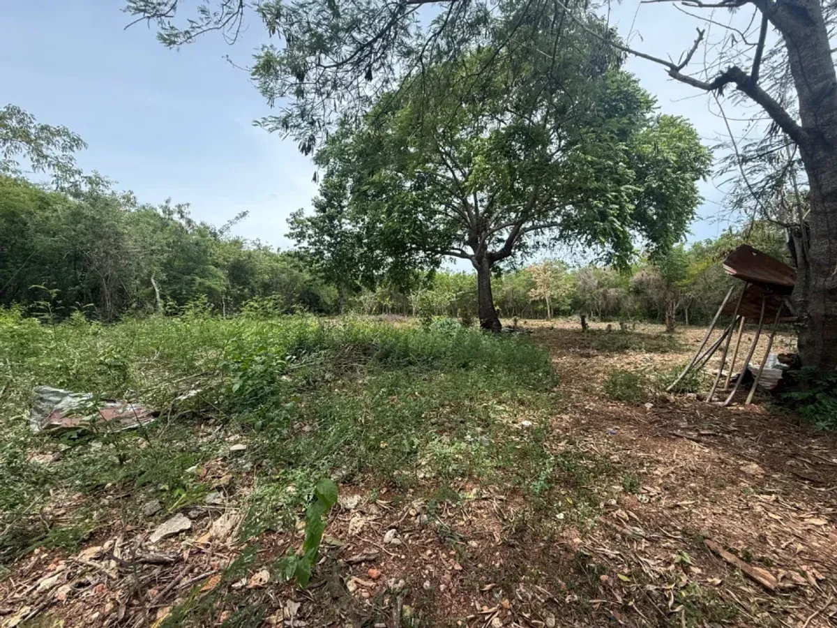 Terreno amplio en venta en Juan Dolio, foto 3