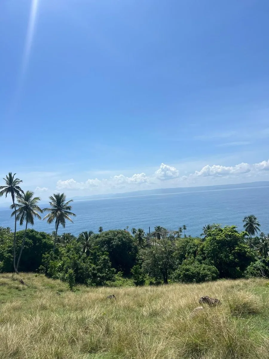 Terreno en Carretera Samaná - Las Galeras, foto 2