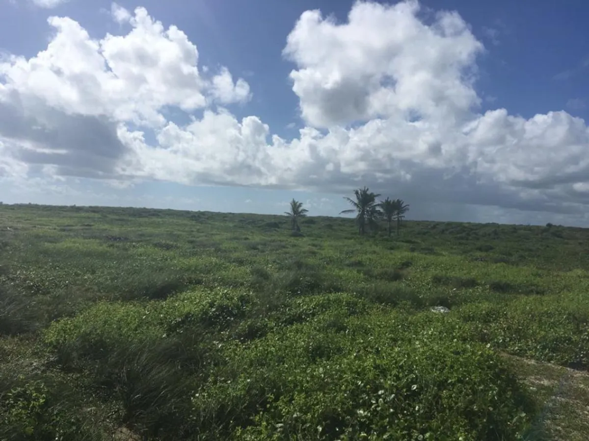 Terrain à Punta Cana, Higüey, photo 3