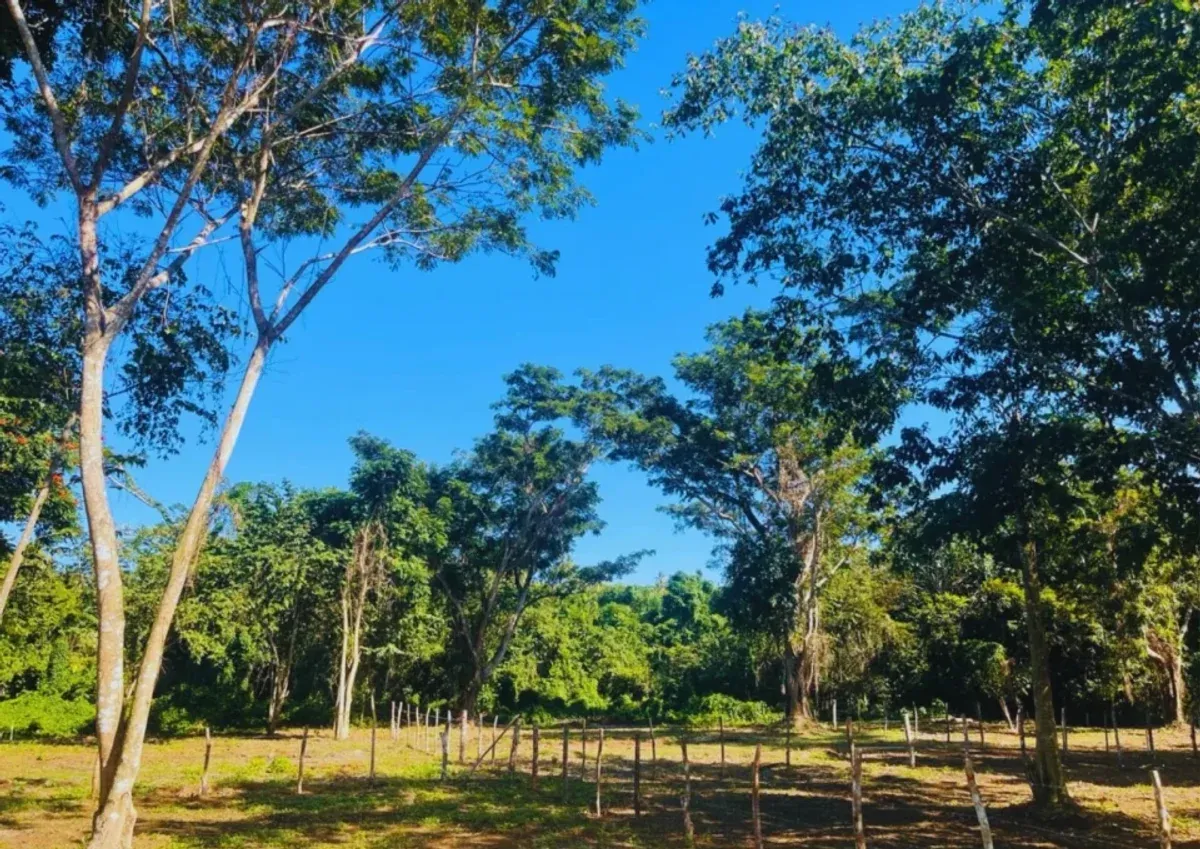Grundstück in Santa Bárbara, Samaná, Foto 3