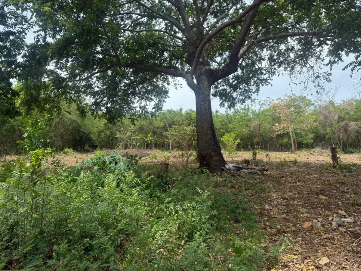 Terreno amplio en venta en Juan Dolio, foto 9