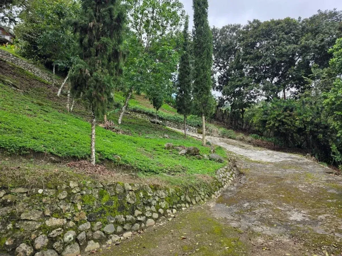 Casa de Montaña en Jarabacoa, foto 8