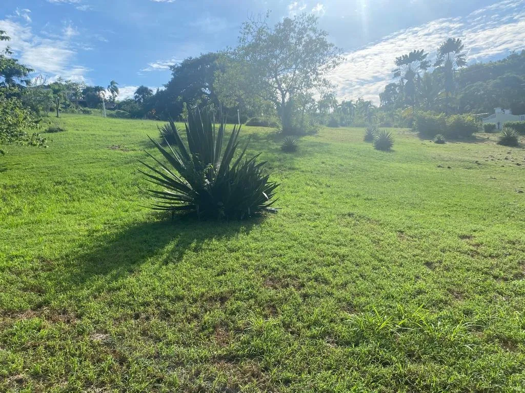 MARAVILLOSO TERRENO EN LA MULATA, foto 5