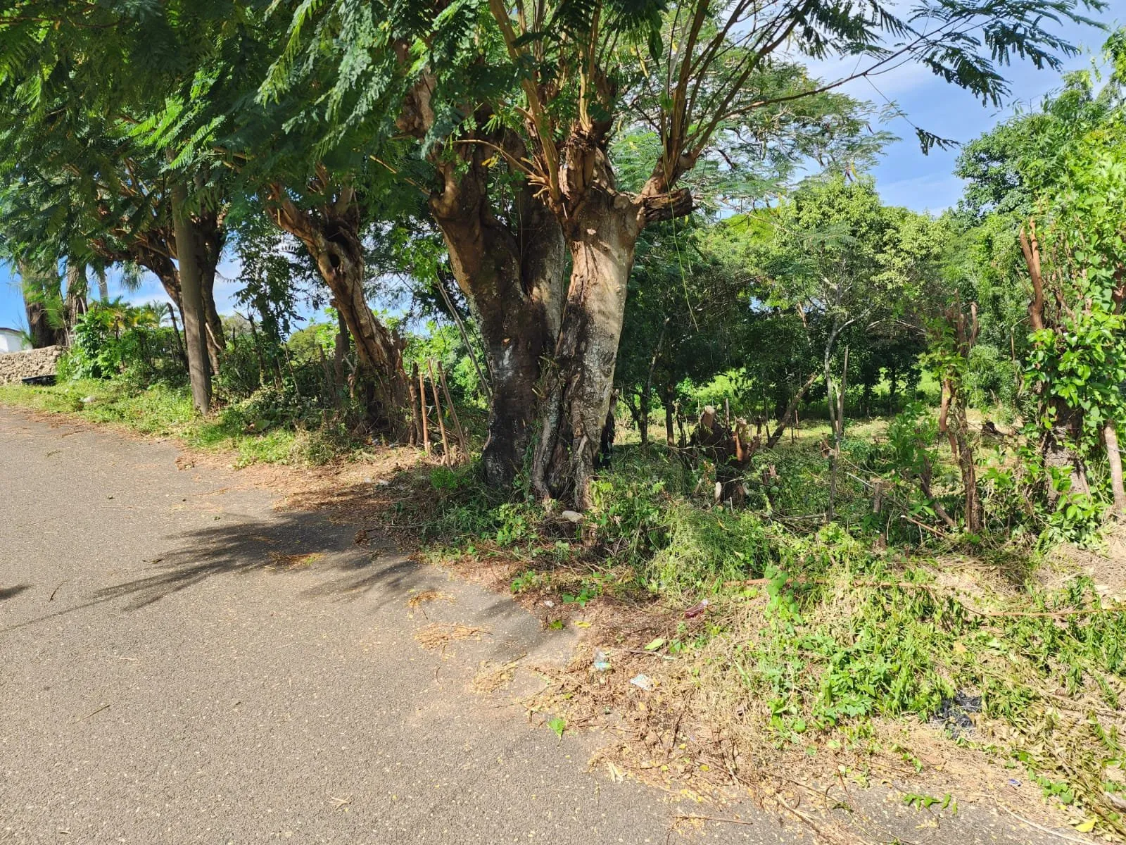 Corazón de Sosúa: Terreno en Venta en el Centro, foto 5