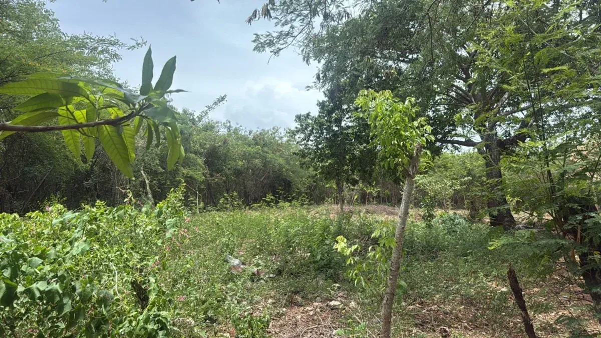 Terreno amplio en venta en Juan Dolio, foto 7
