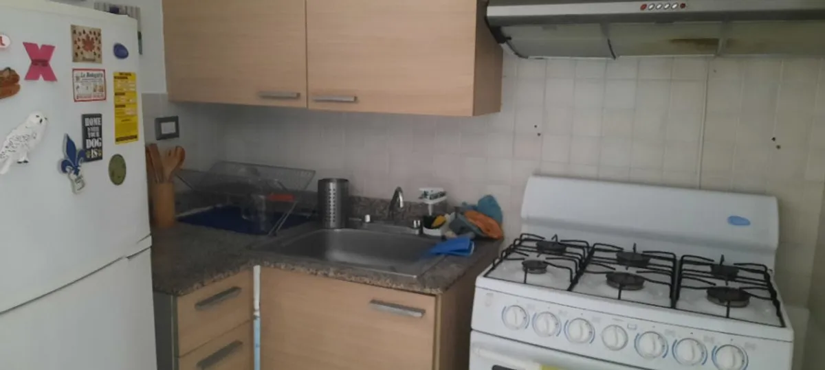 APPARTEMENT EN VENTE 1 CHAMBRE PIANTINI SANTO D, photo 11