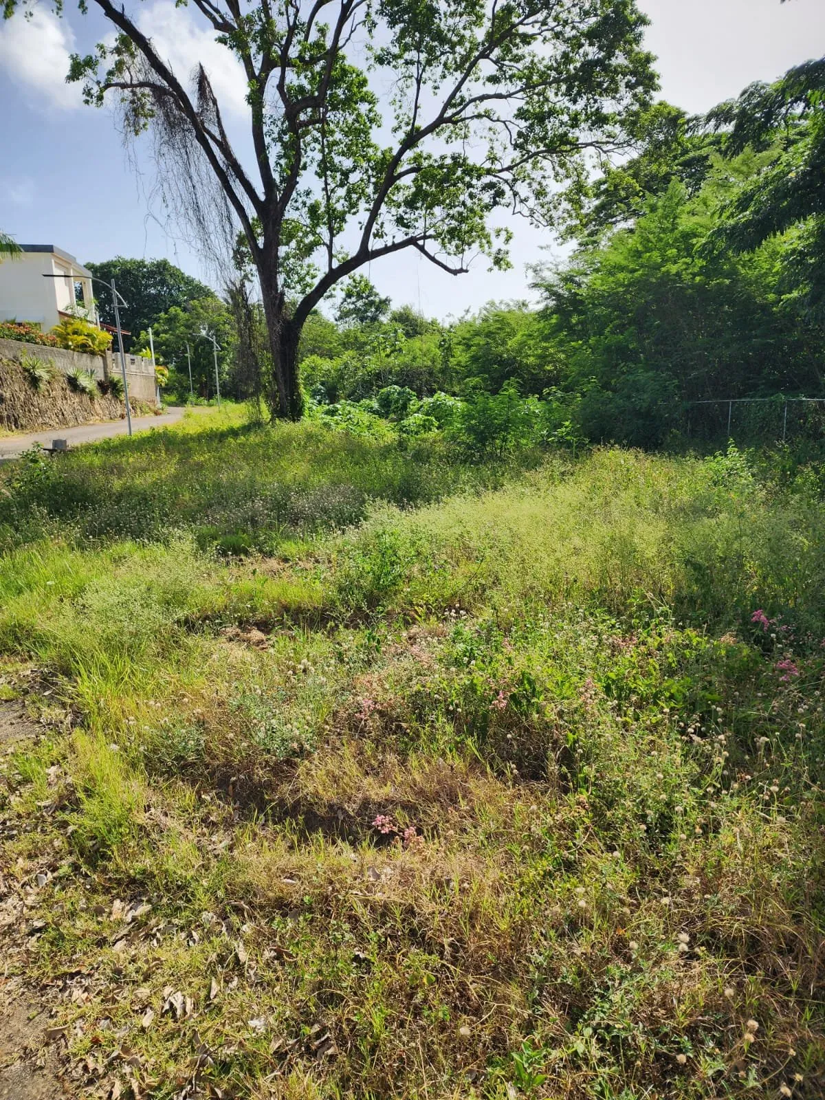 Lot for sale in La Mulata, photo 2