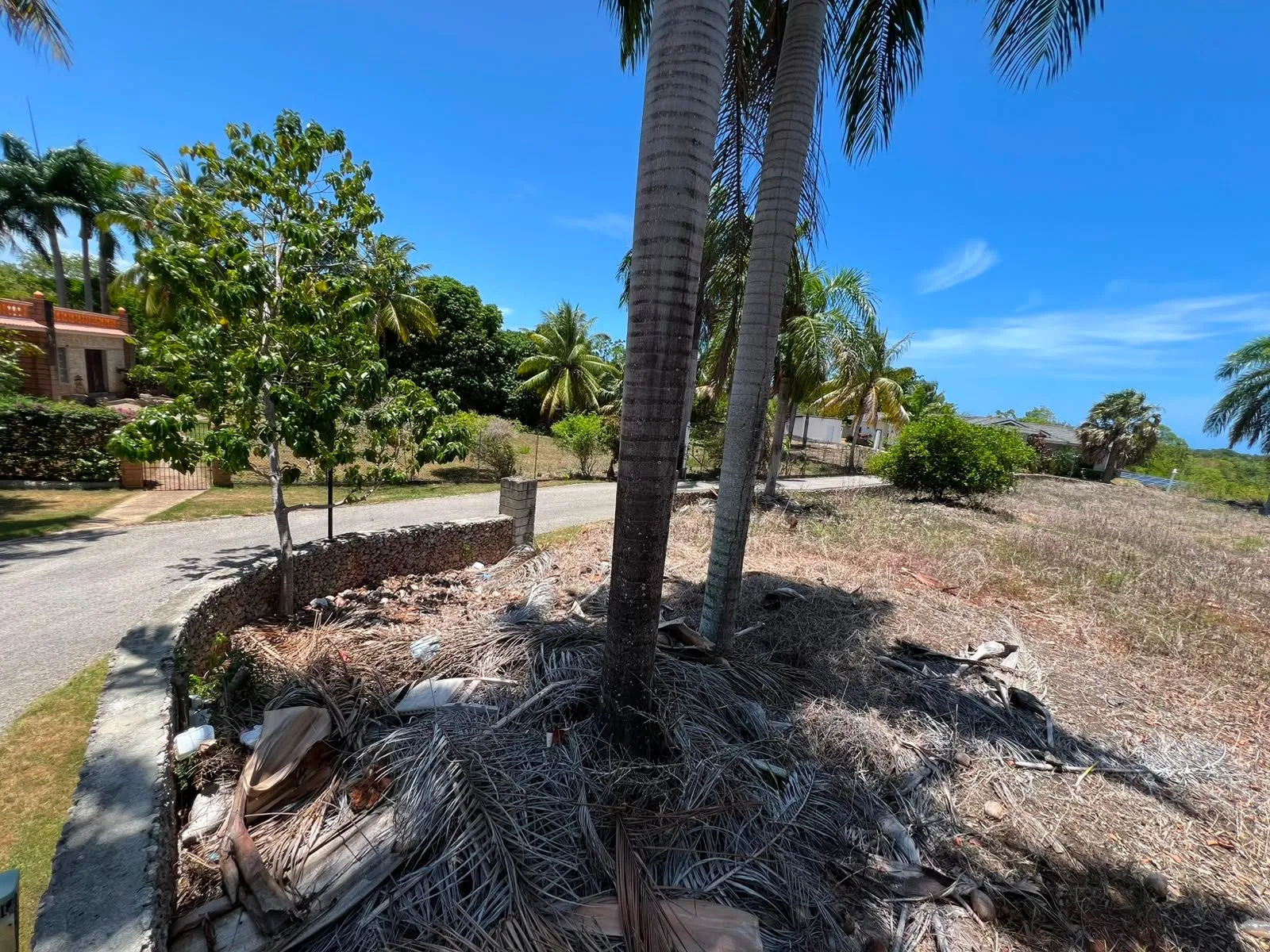 Land for sale Lomas Mironas, photo 12