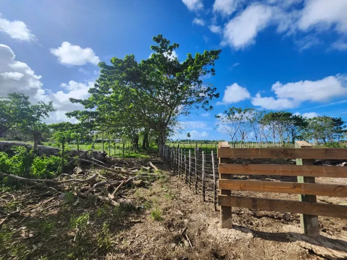 Terreno in Vendita a El Macao, 11,319 m², foto 6