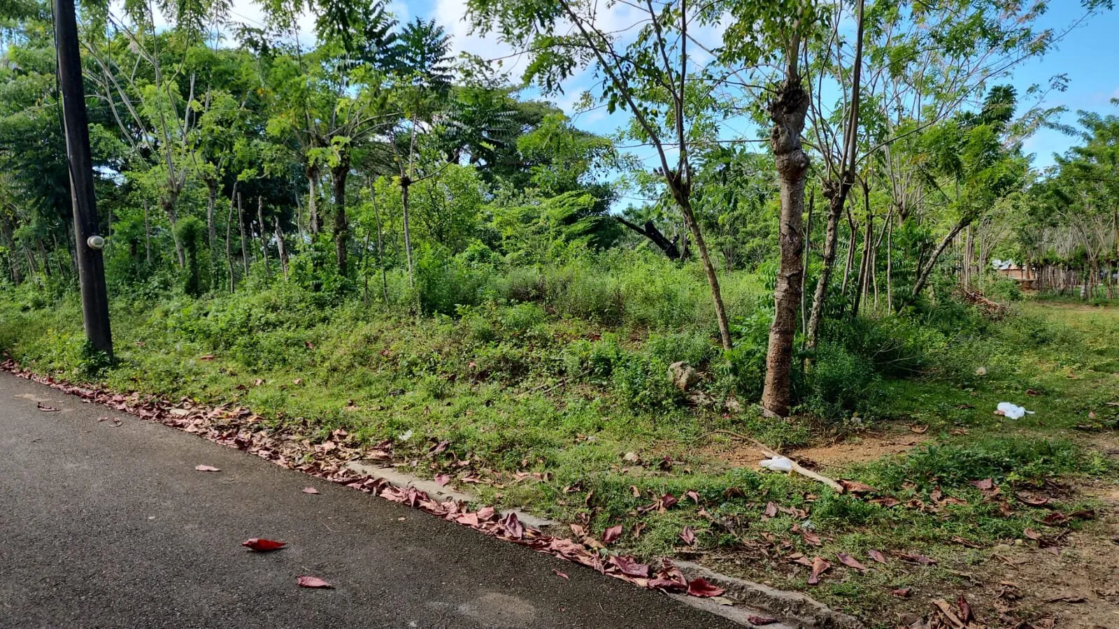 NEW LISTING – LAND AVAILABLE IN SOSÚA, photo 5