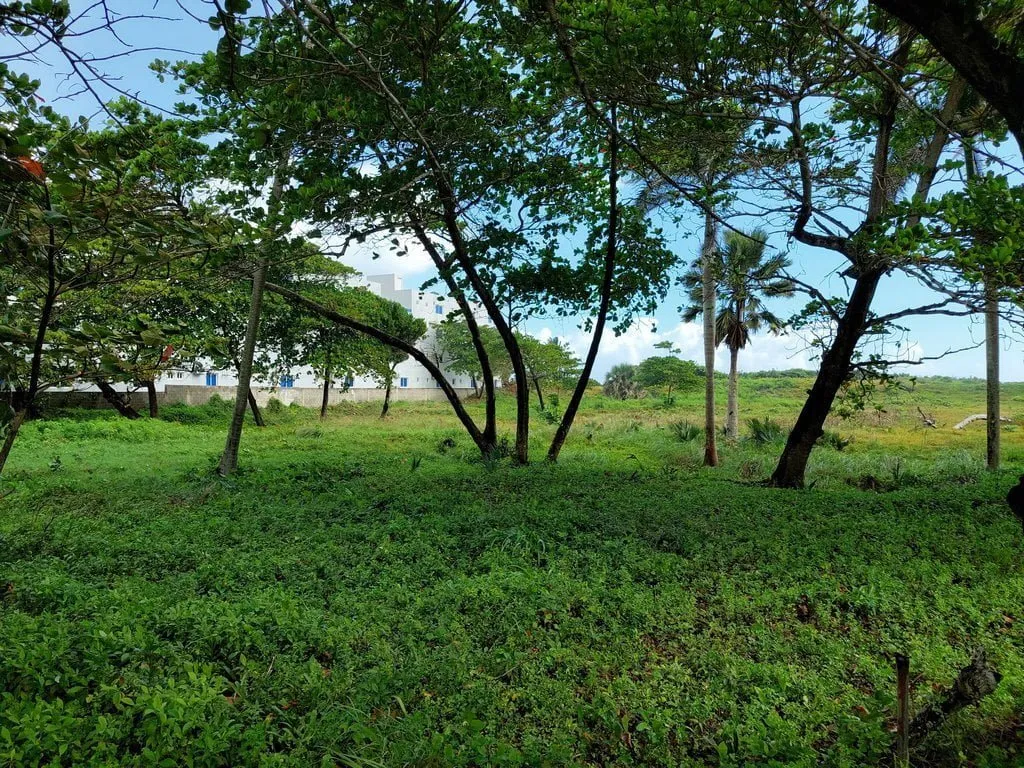 TERRAZZA IN ZONA ESCLUSIVA FRONTE MARE – CABARETE, foto 11