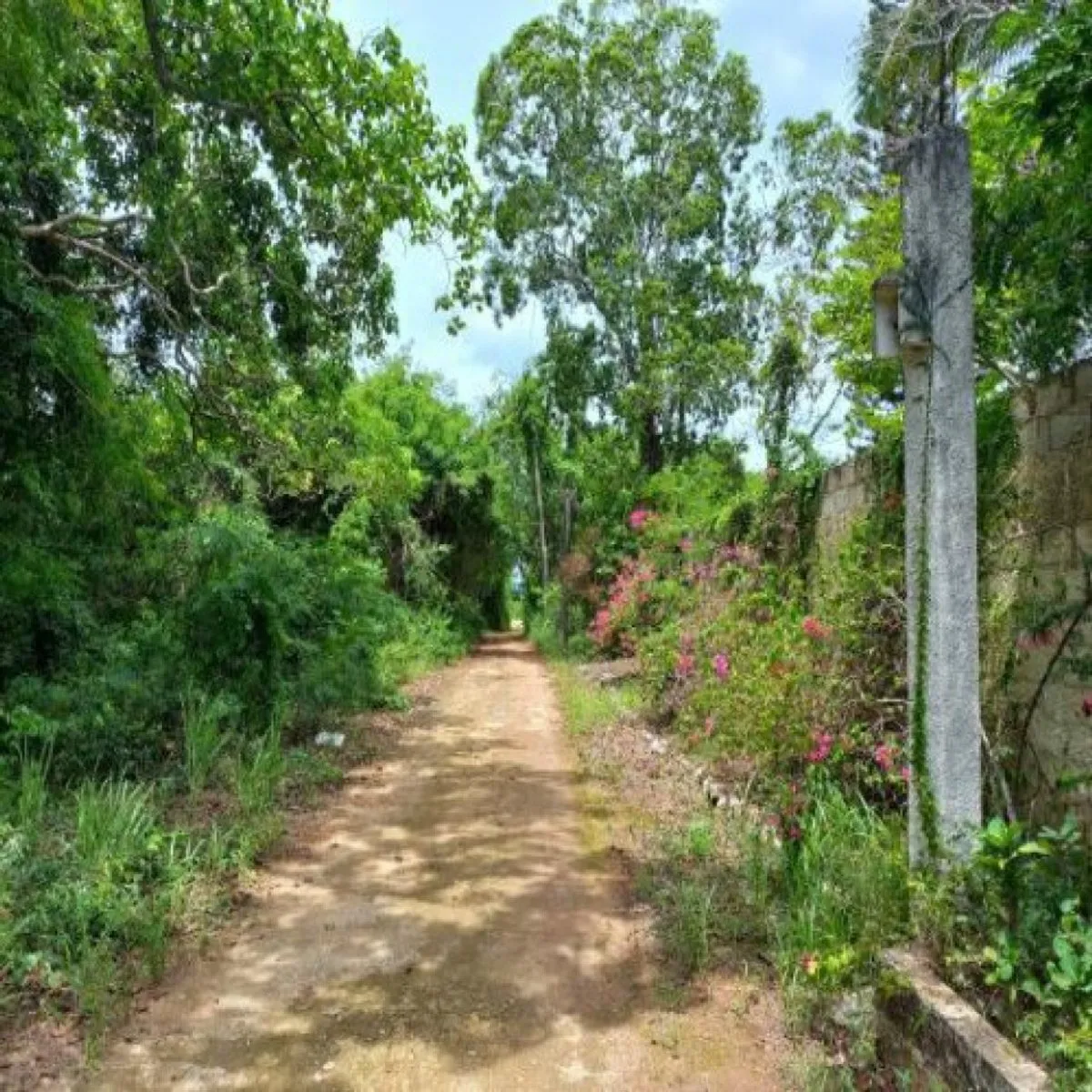 Casa en Juan Dolio, San Pedro de Macorís, foto 11