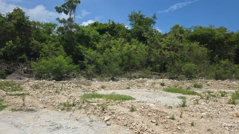 Grundstück von 1.122 m² in Cap Cana, ab $297.000, für Villa., USD$ 290,000