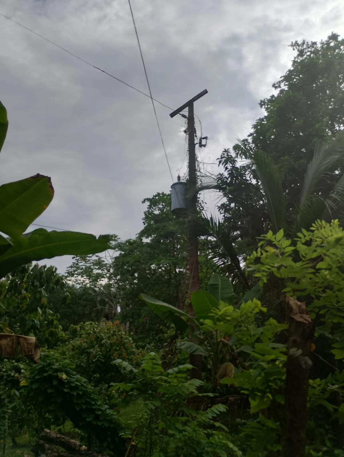 Farm for sale in Villa Altagracia, main photo