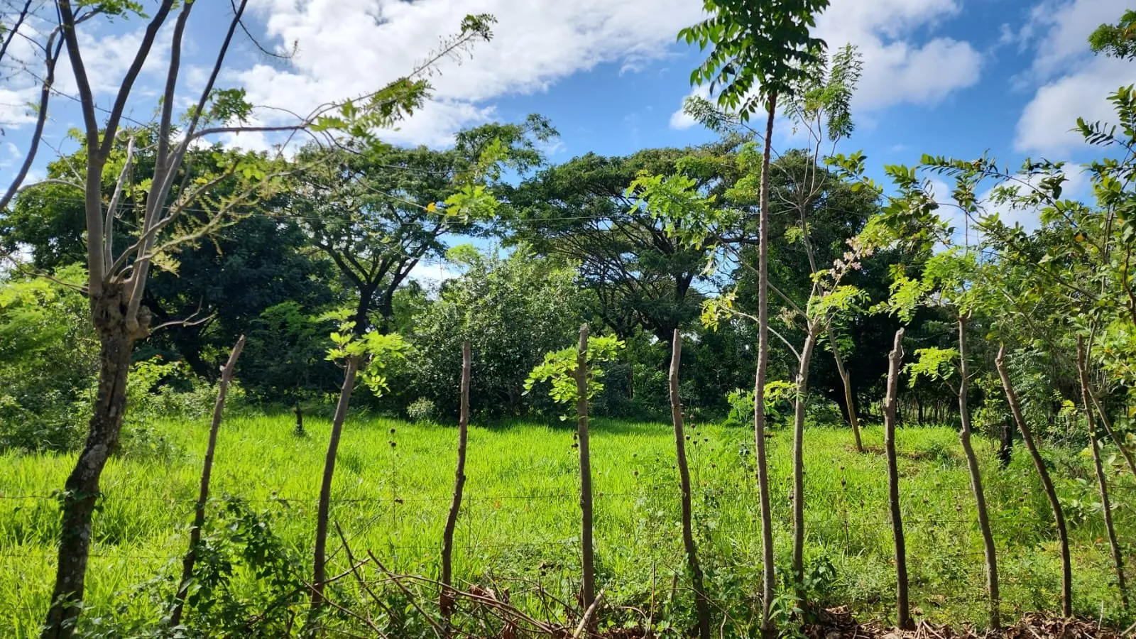 NEW LISTING – LAND AVAILABLE IN SOSÚA, photo 3