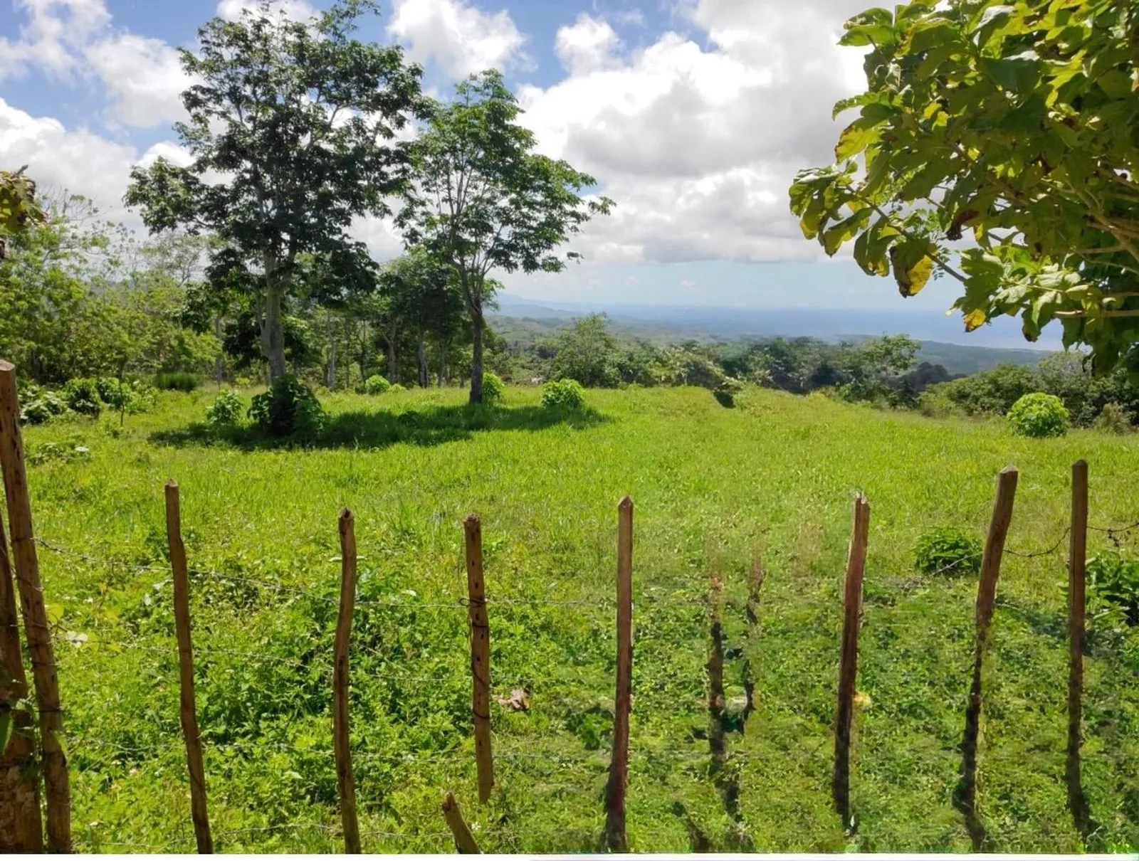 Terrain à Los Puentes, Las Terrenas Samana, photo 3