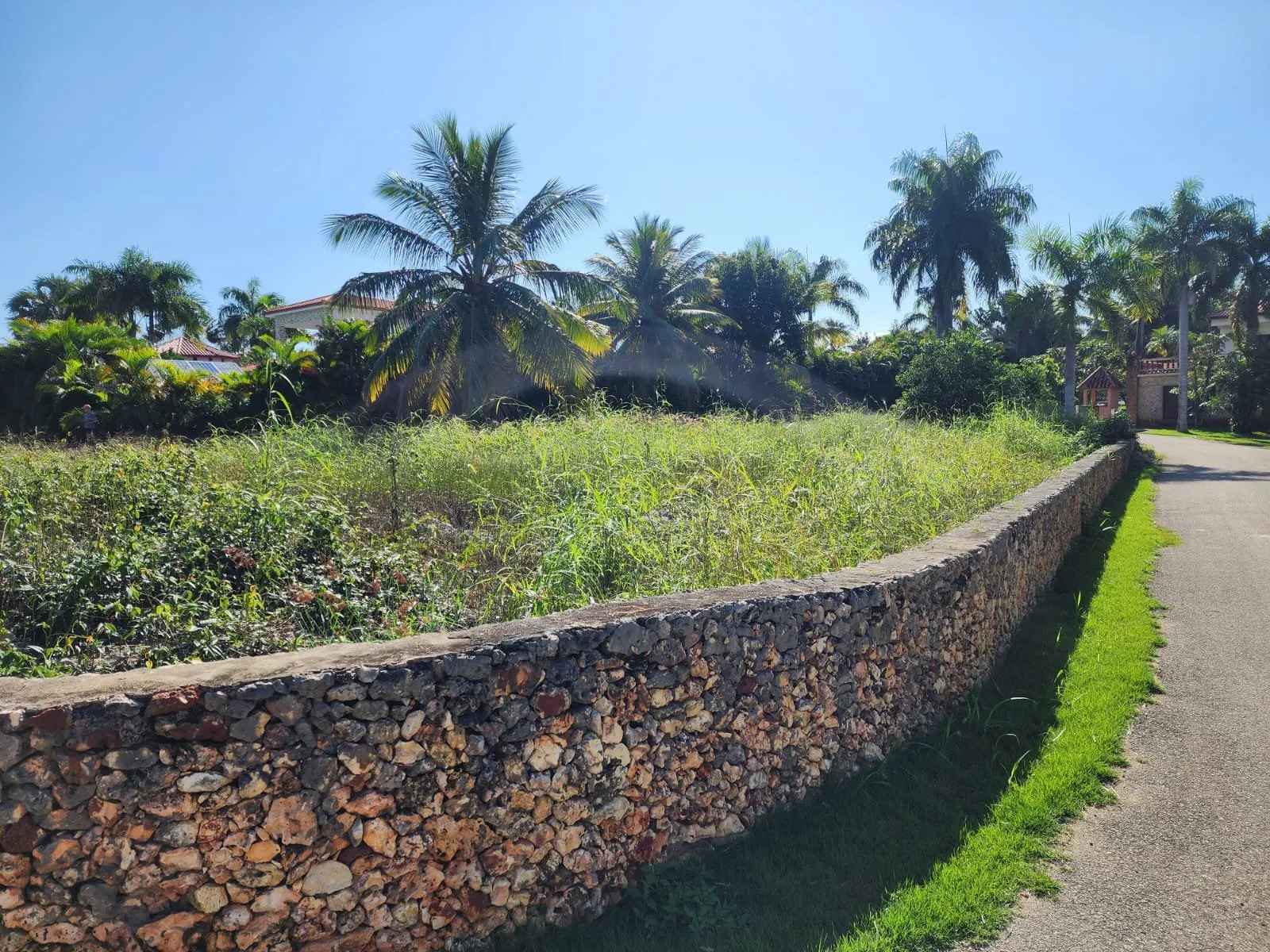 OPPORTUNITÉ DE TERRAIN – À CABARETE, photo 7