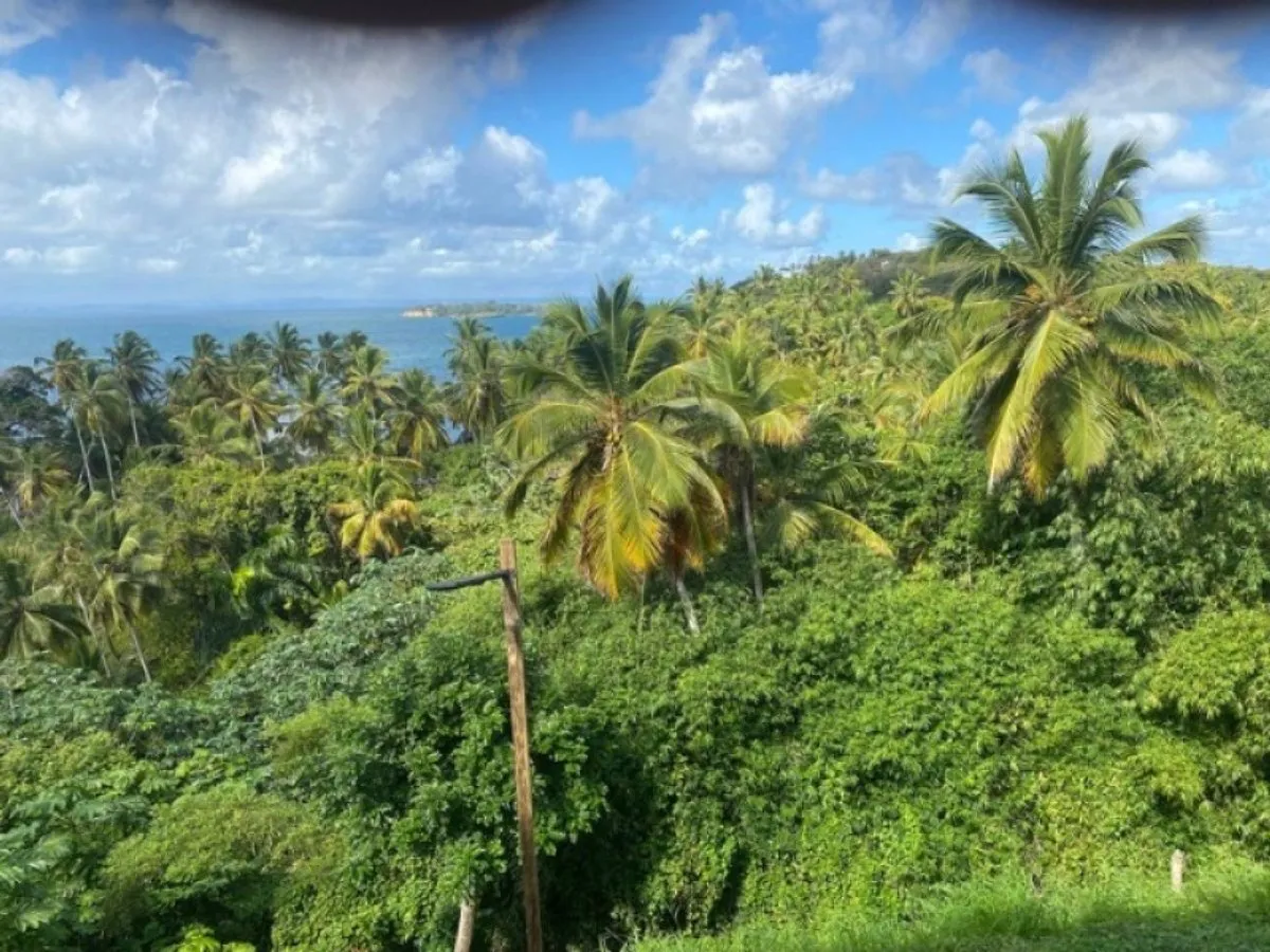 Grundstück in Samaná, Los Cacaos, Foto 5