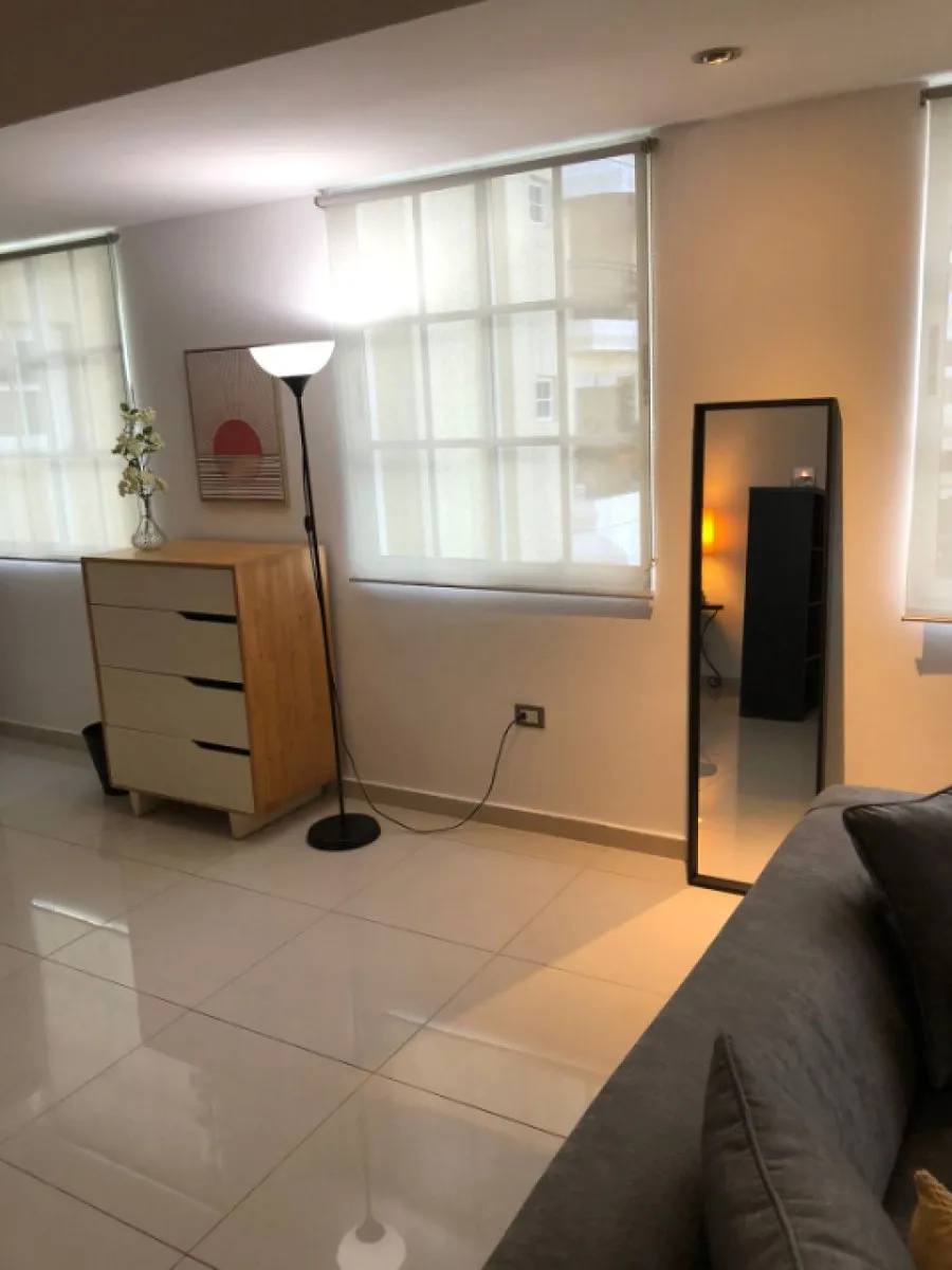 APPARTEMENT EN VENTE 1 CHAMBRE PIANTINI SANTO D, photo 4