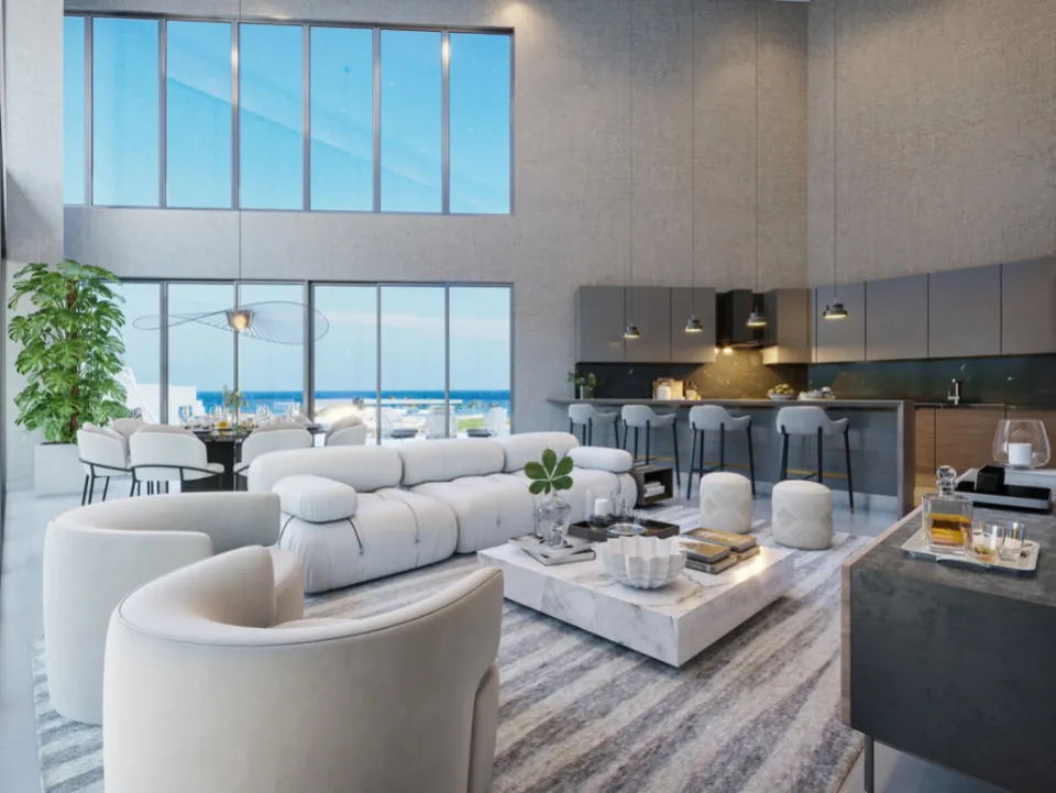 Project in CAP CANA, photo 9