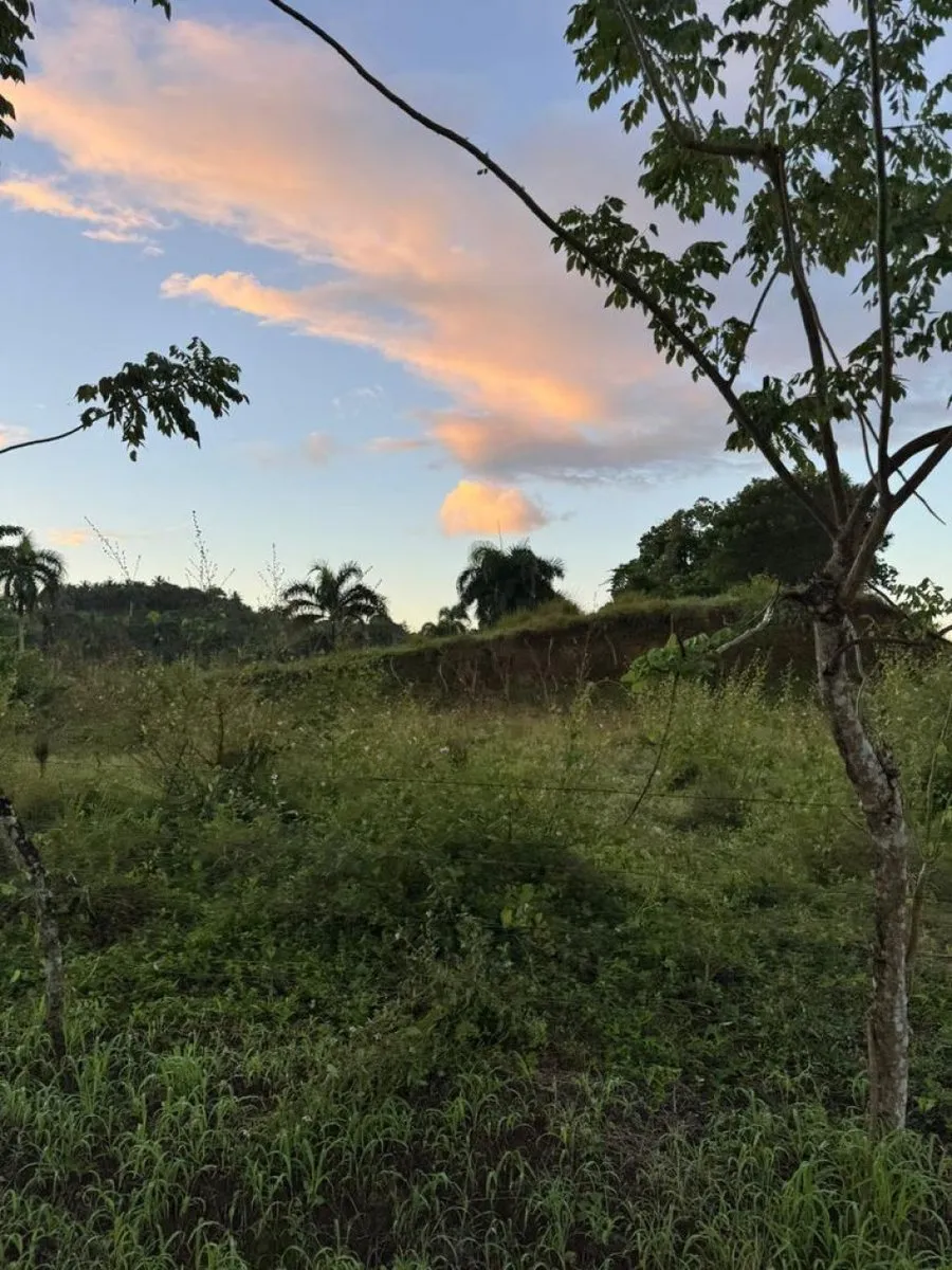 Land for Sale in Río San Juan, 1117 m², photo 8
